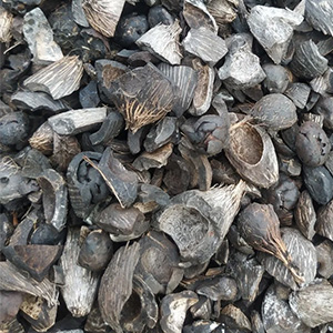 Palm Kernel Shell